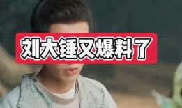 刘大锤爆料吵架视频,一场网络风波背后的真实故事