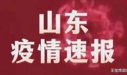 山东临沂爆料最新消息视频,视频揭示惊人事件！